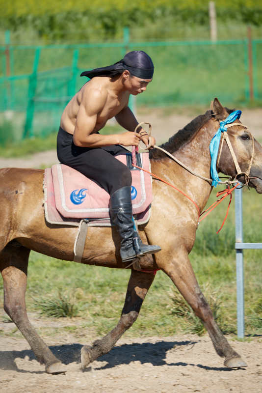 在草原景区练习骑马马术的蒙古族演员图片