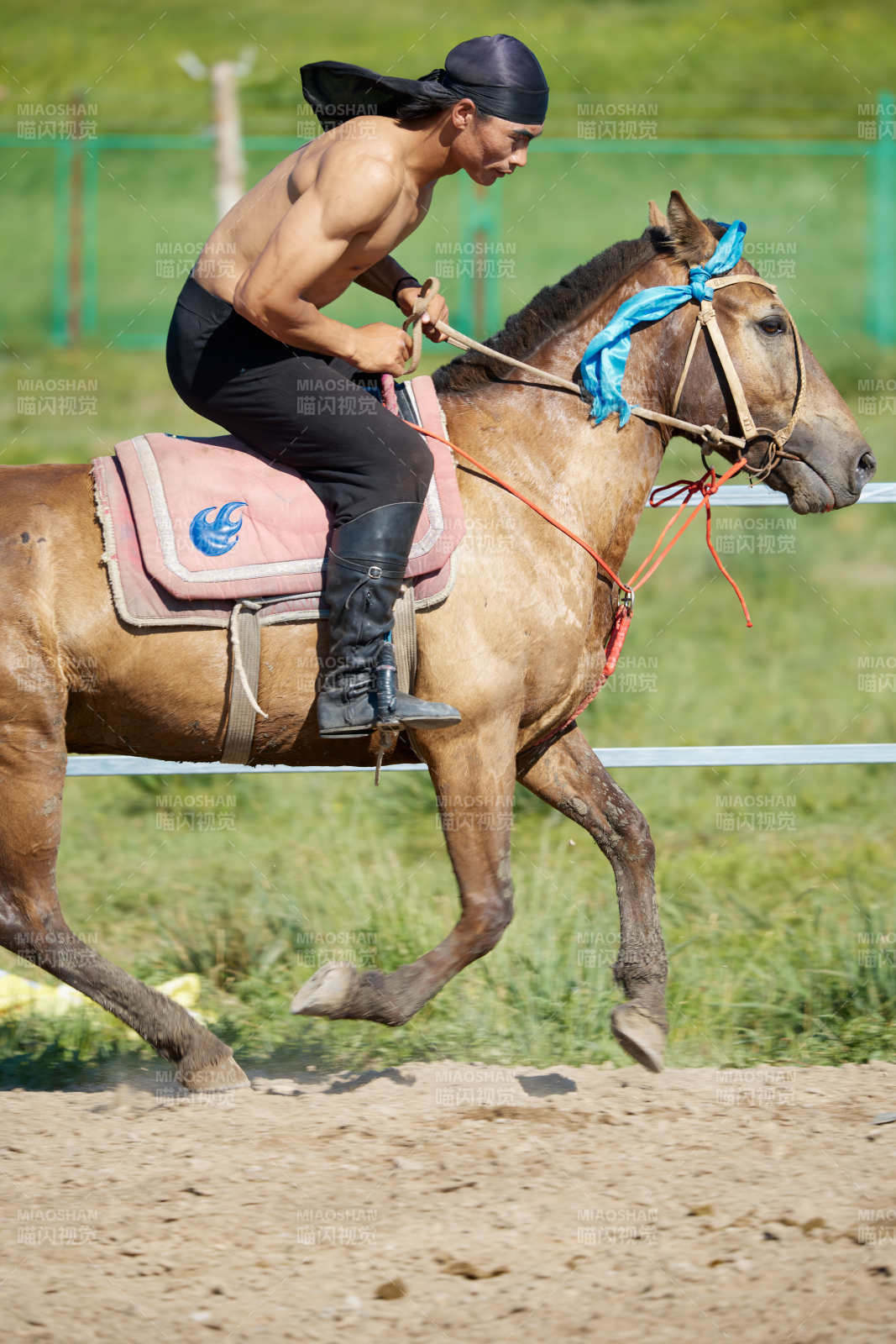 在草原景区练习骑马马术的蒙古族演员图片