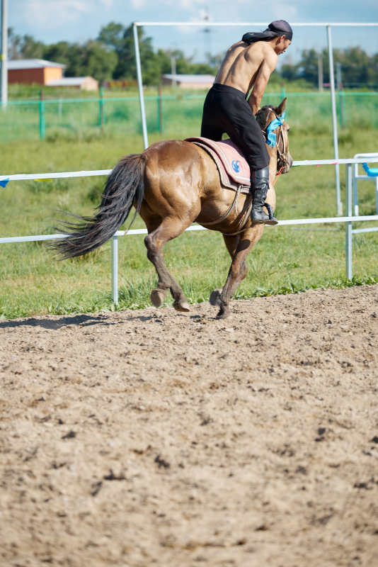 在草原景区练习骑马马术的蒙古族演员图片