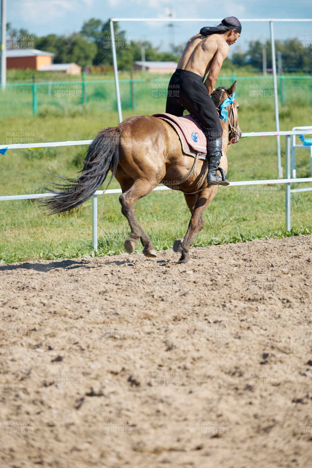 在草原景区练习骑马马术的蒙古族演员图片