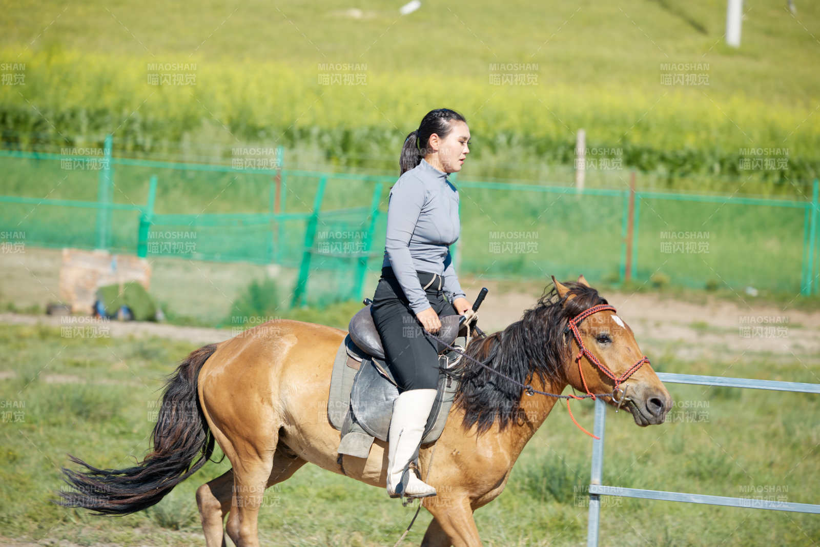 在草原景区练习骑马马术的蒙古族演员图片
