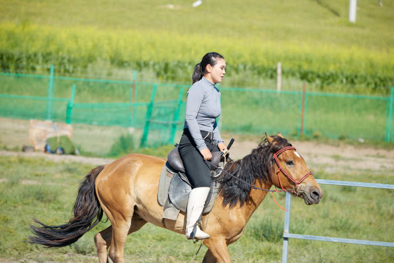 在草原景区练习骑马马术的蒙古族演员图片