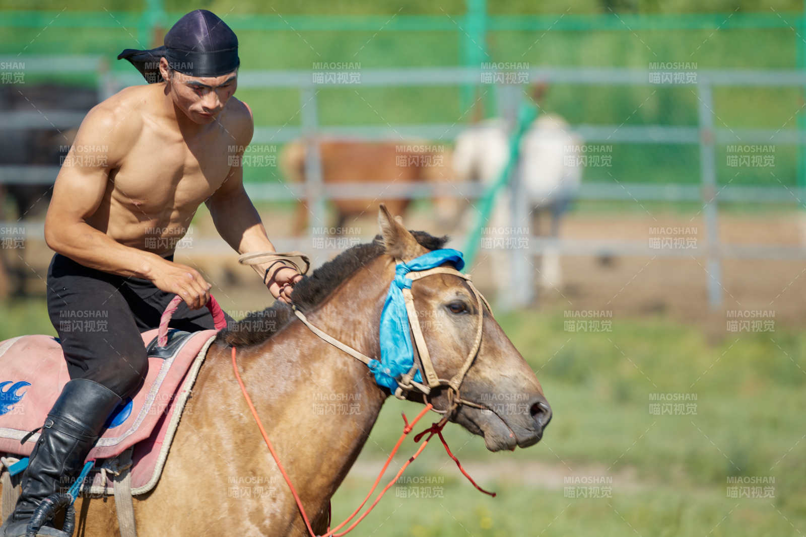 在草原景区练习骑马马术的蒙古族演员图片