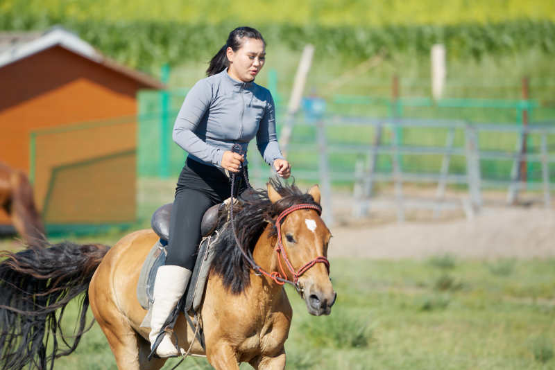 在草原景区练习骑马马术的蒙古族演员图片