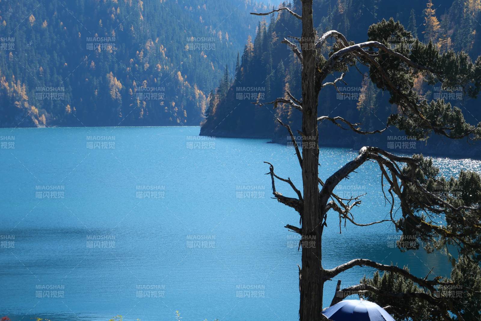 湖光山色 静谧如画 九寨沟长海图片