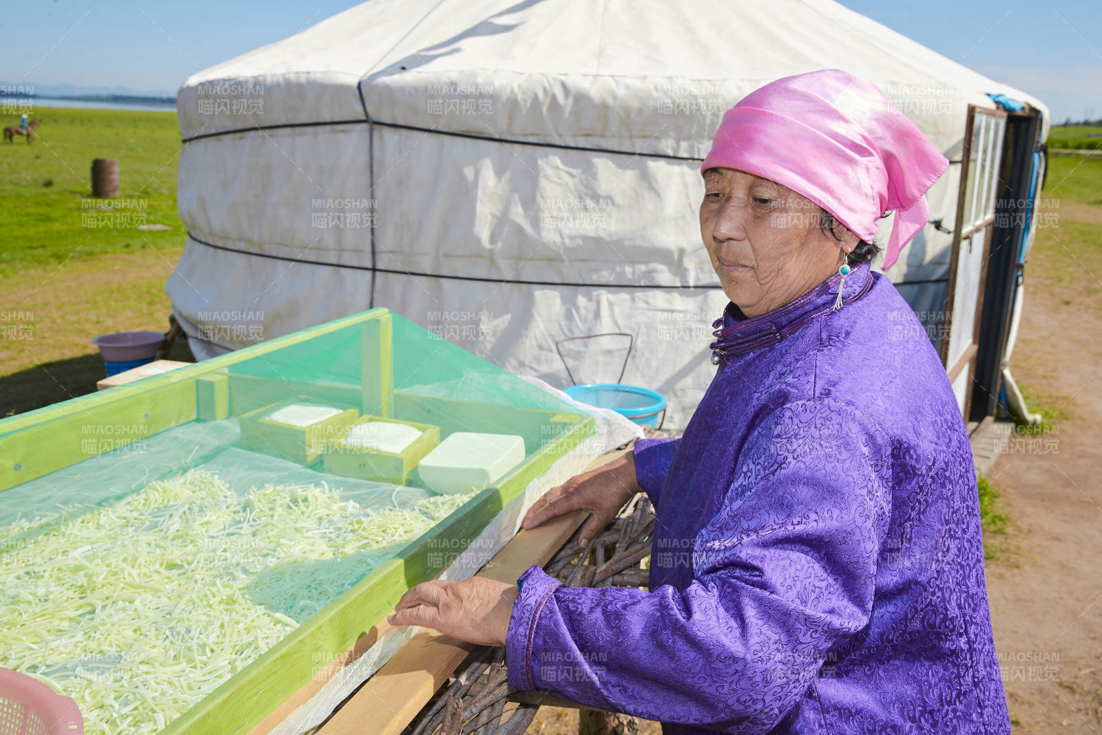 在蒙古包外晾晒奶制品的蒙古族中老年女性图片