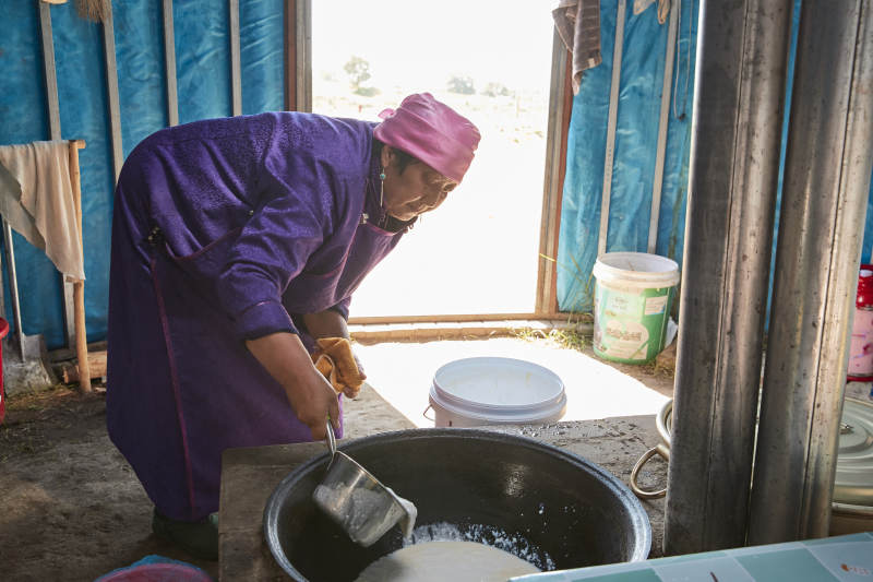 在蒙古包内用传统工艺熬煮制作奶豆腐过程图片