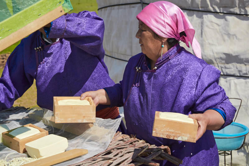 在蒙古包外晾晒奶制品的蒙古族中老年夫妻图片