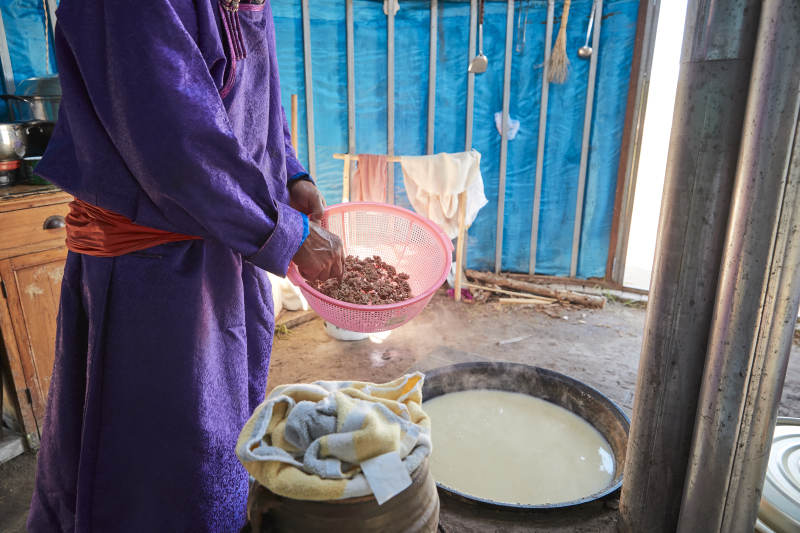 在蒙古包内用传统工艺熬煮制作奶豆腐过程图片