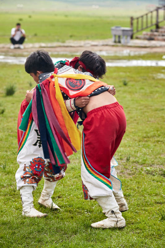 草原那达慕大会上的蒙古摔跤手图片