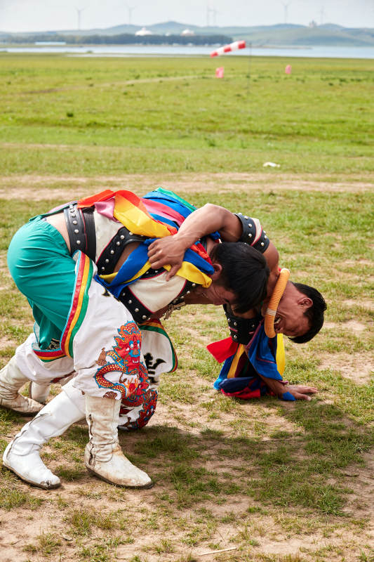 草原那达慕大会上的蒙古摔跤手图片