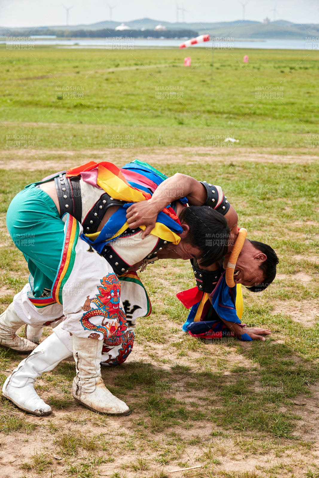 草原那达慕大会上的蒙古摔跤手图片