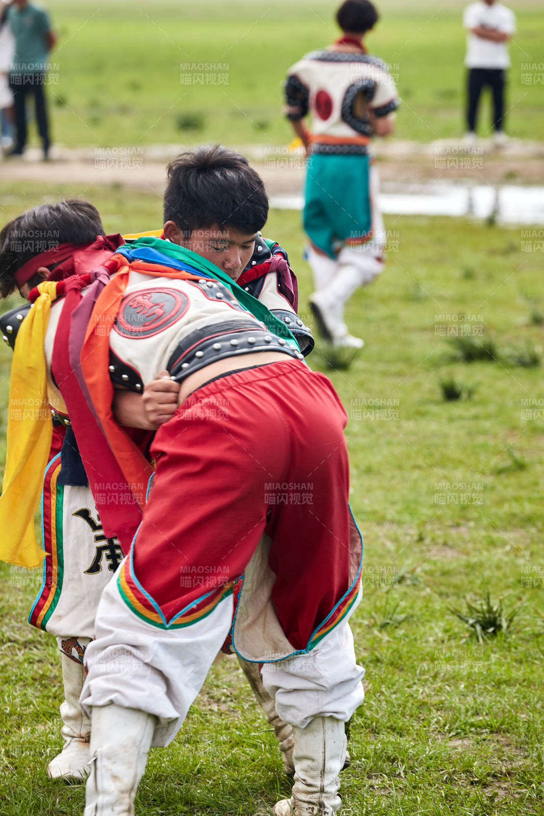 草原那达慕大会上的蒙古摔跤手图片