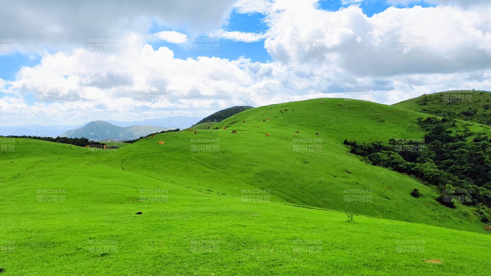 大姆山草原绿野青山云影图片
