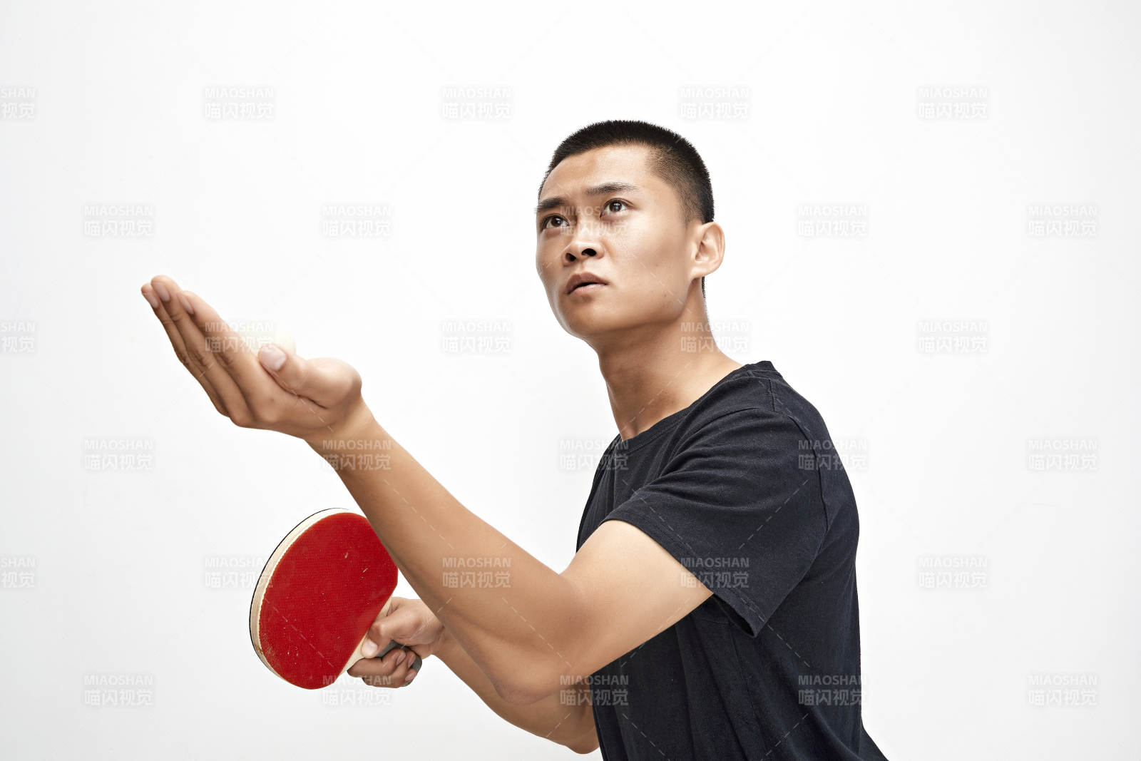 白色背景下健硕的亚洲乒乓球运动员形象图片