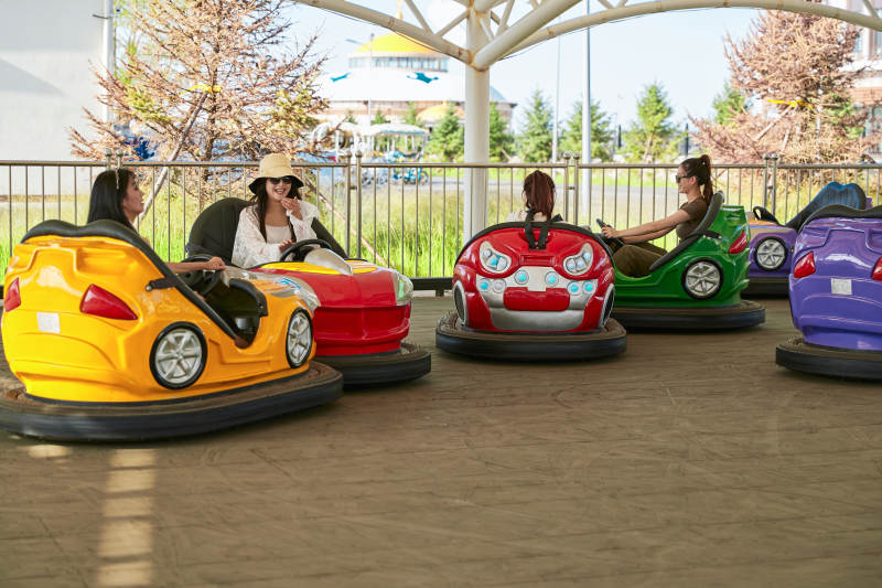 在游乐园玩碰碰车的闺蜜美女图片