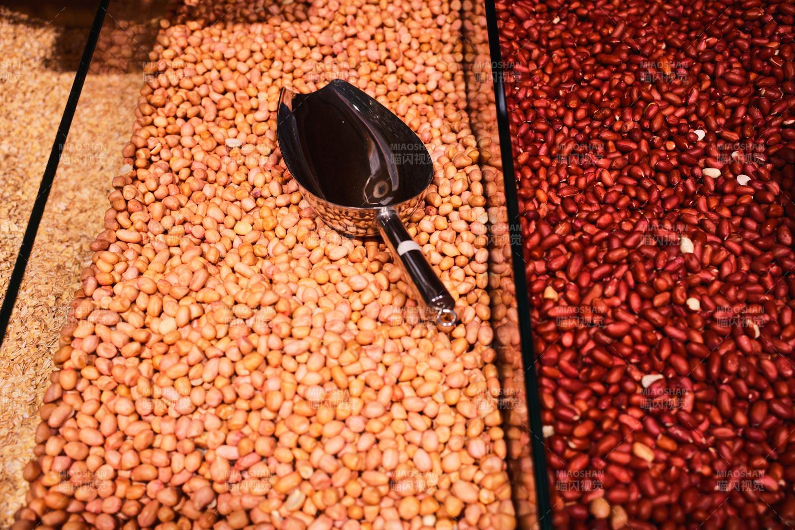 豆类展示区图片