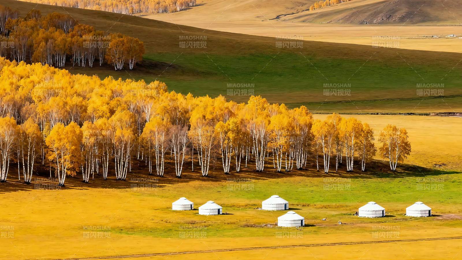 额尔古纳湿地草原图片