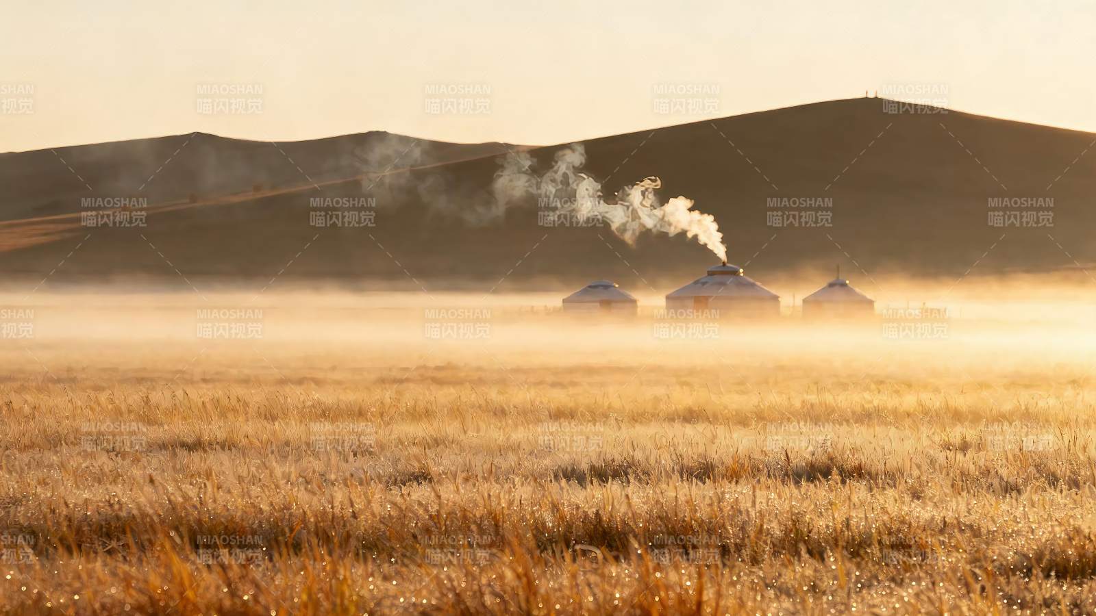 额尔古纳湿地草原图片