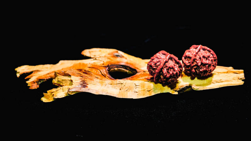 文玩核桃展示图片