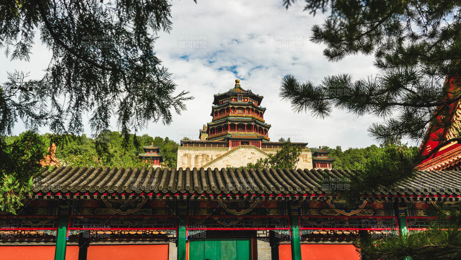 颐和园古塔映翠林图片