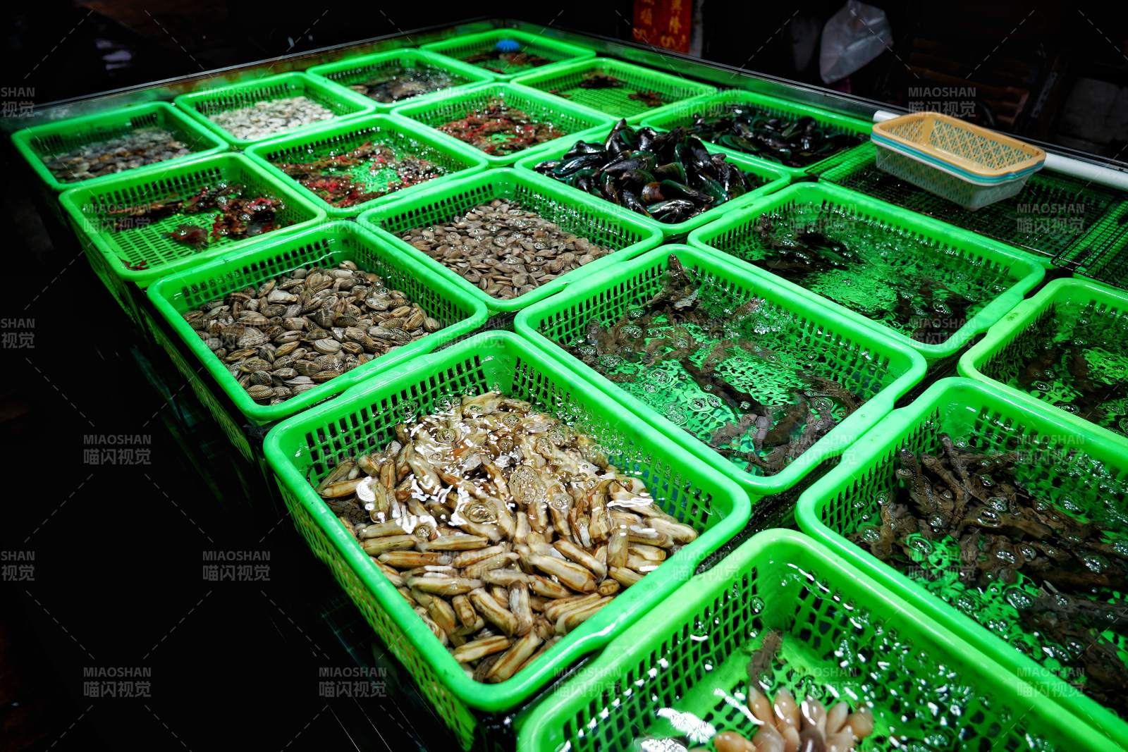海鲜市场活物展示图片