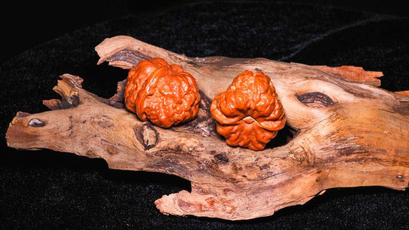 木雕核桃静物图片