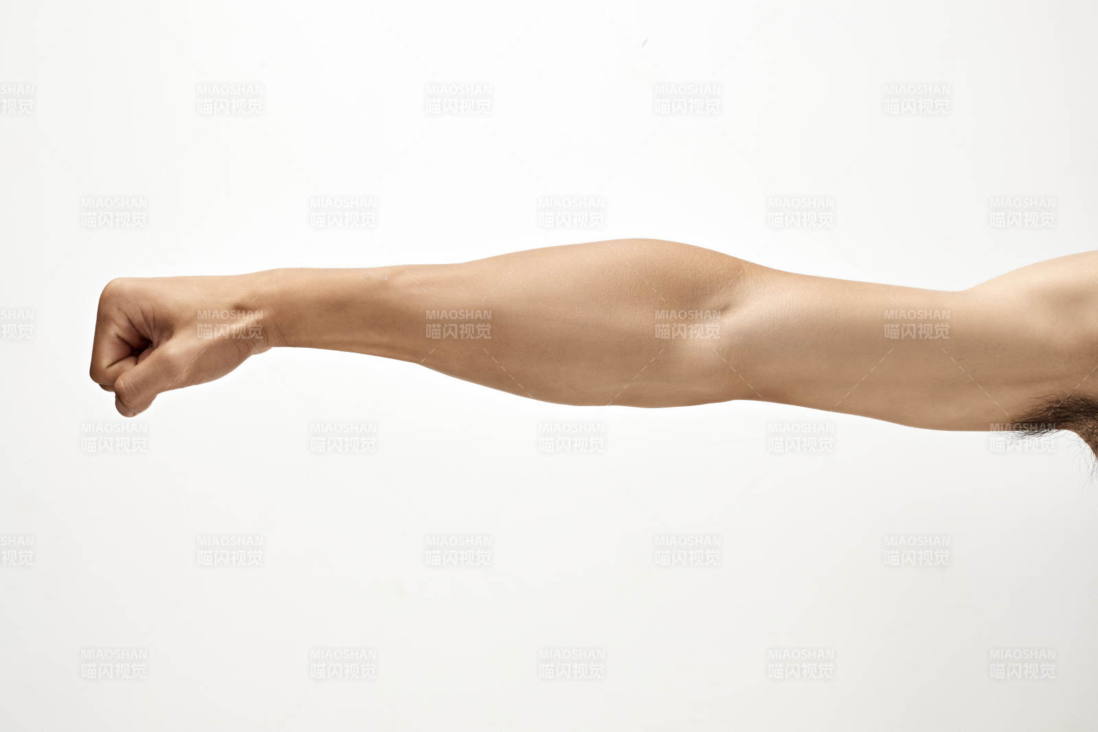 白色背景下的伸展手臂肌肉特写图片