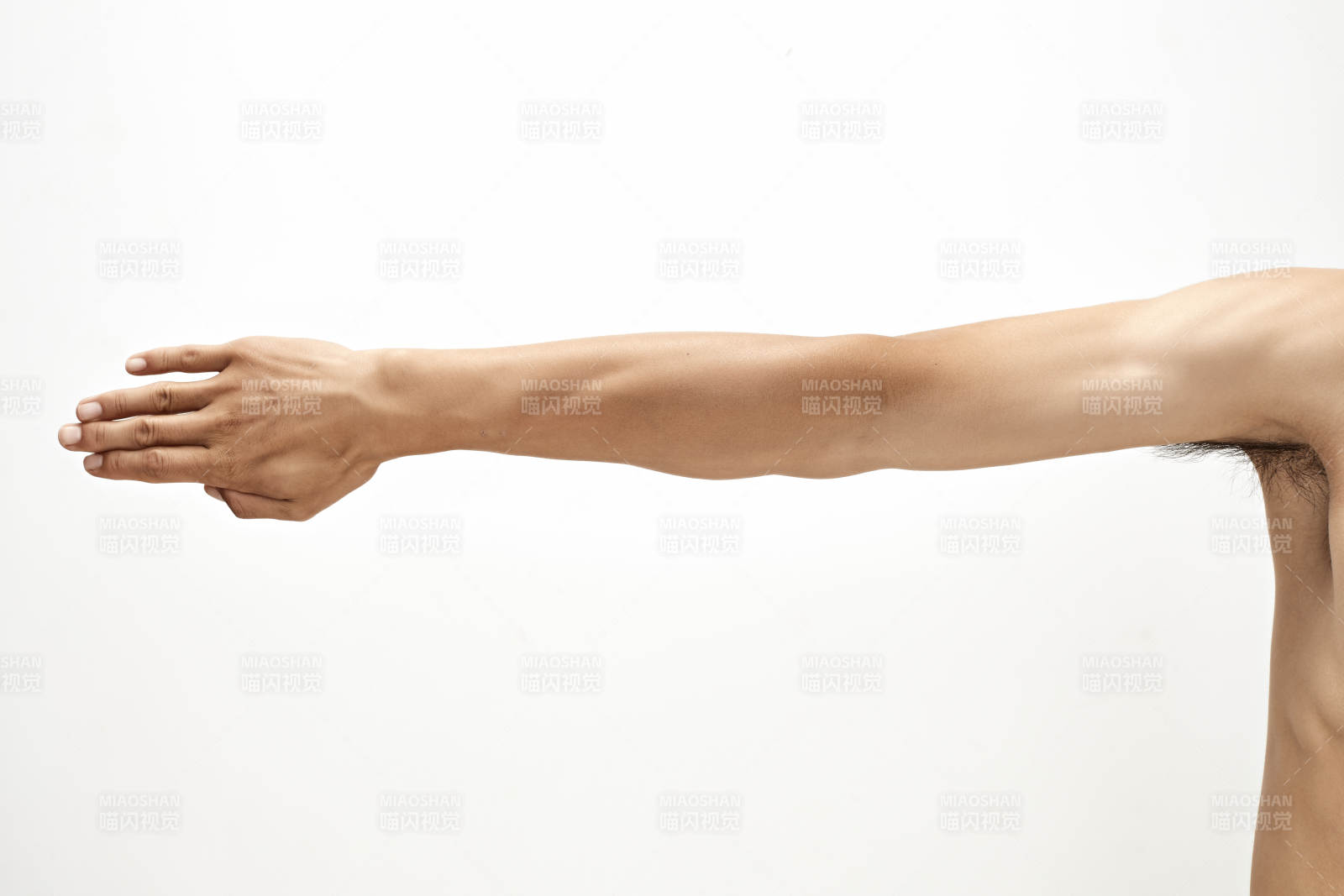 白色背景下的伸展手臂肌肉特写图片
