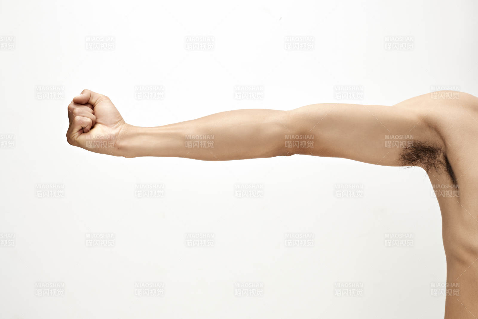 白色背景下的伸展手臂肌肉特写图片