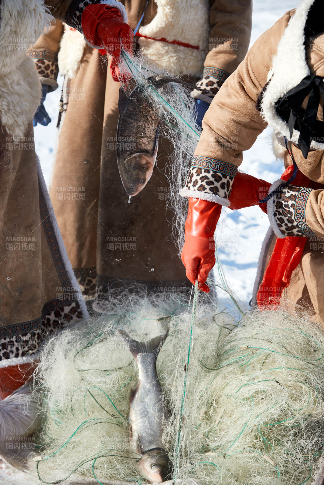 寒冷的冬季在冰冻的湖面上凿冰捕鱼的人们图片