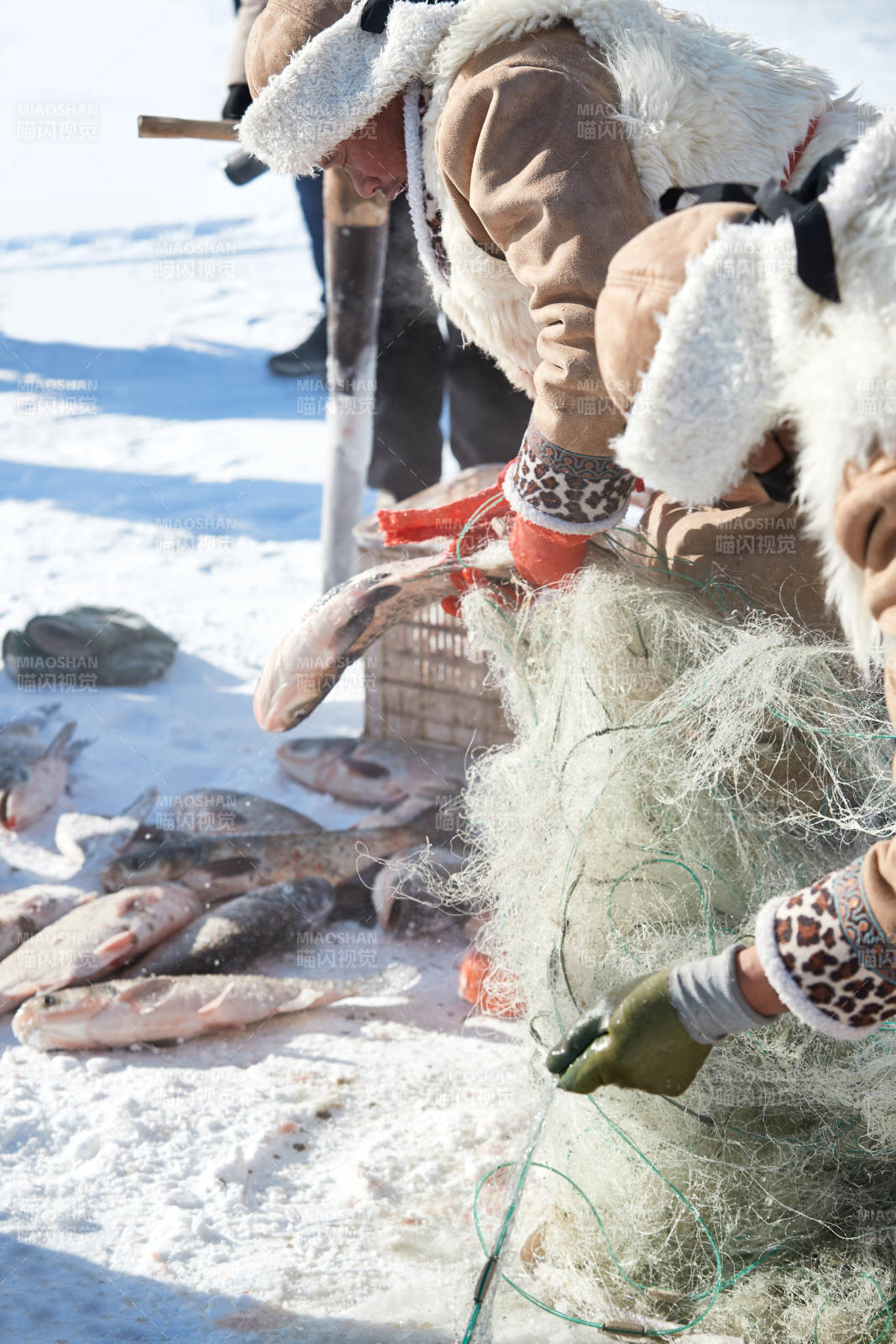 寒冷的冬季在冰冻的湖面上凿冰捕鱼的人们图片