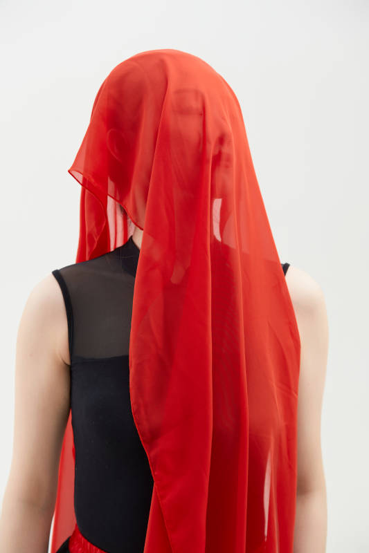 身穿红黑相间的舞蹈长裙翩翩起舞的少女图片