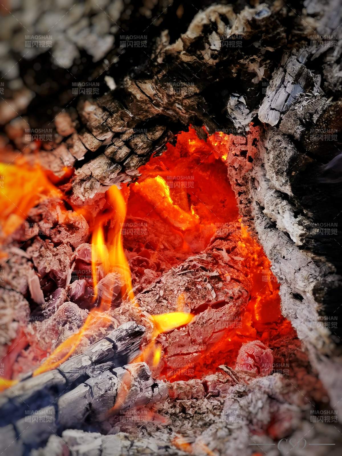 火焰中的木炭图片