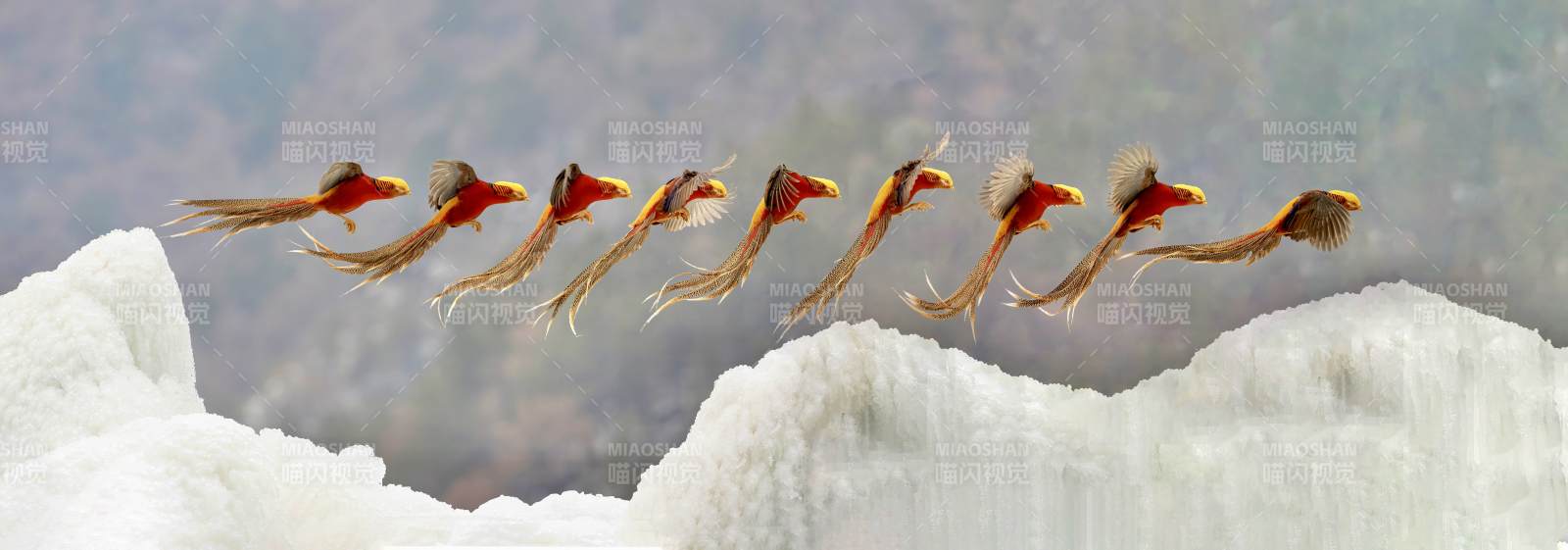 飞鸟掠雪峰图片