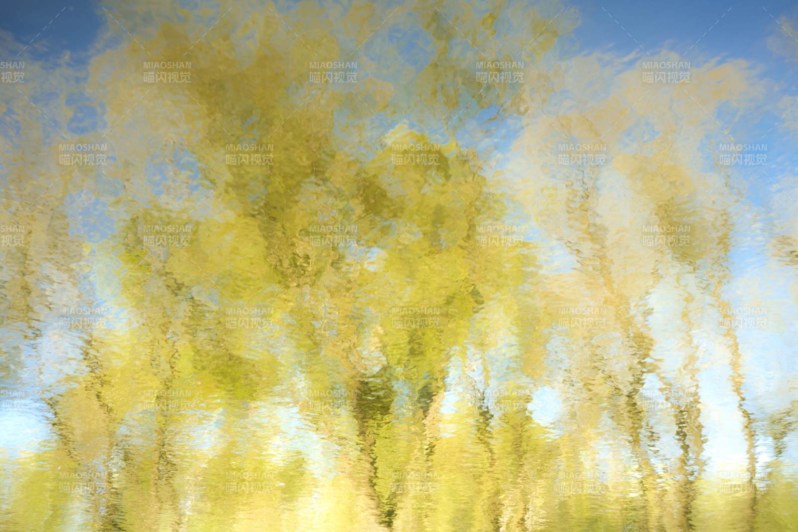 秋色朦胧树影图片