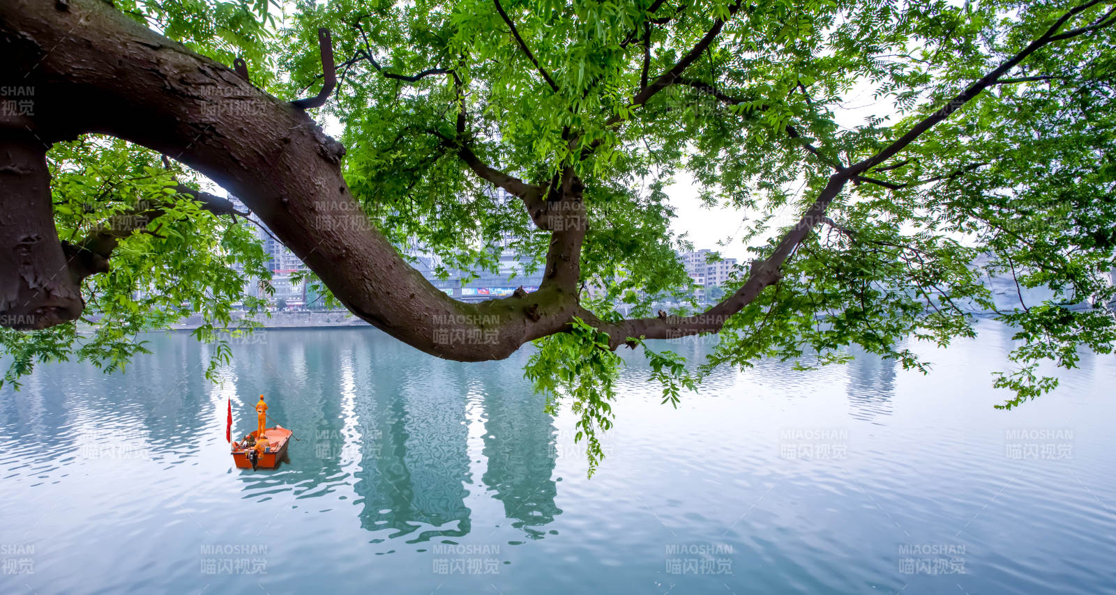 湖畔树影小舟图片