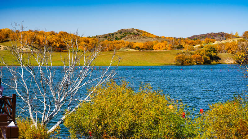 乌兰布统公主湖秋日美景图片