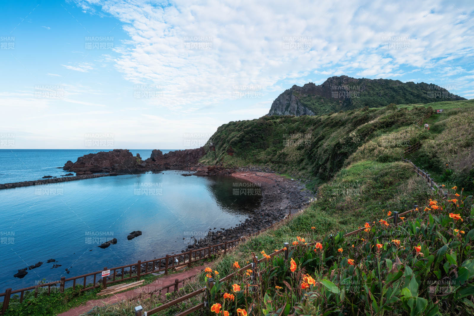 韩国济州岛城山日出峰海岸花海风光图片