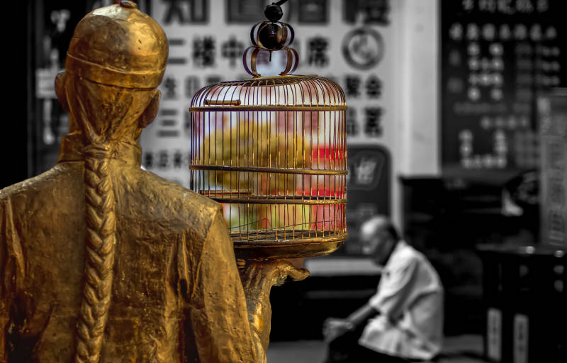 金人持笼观鸟图片