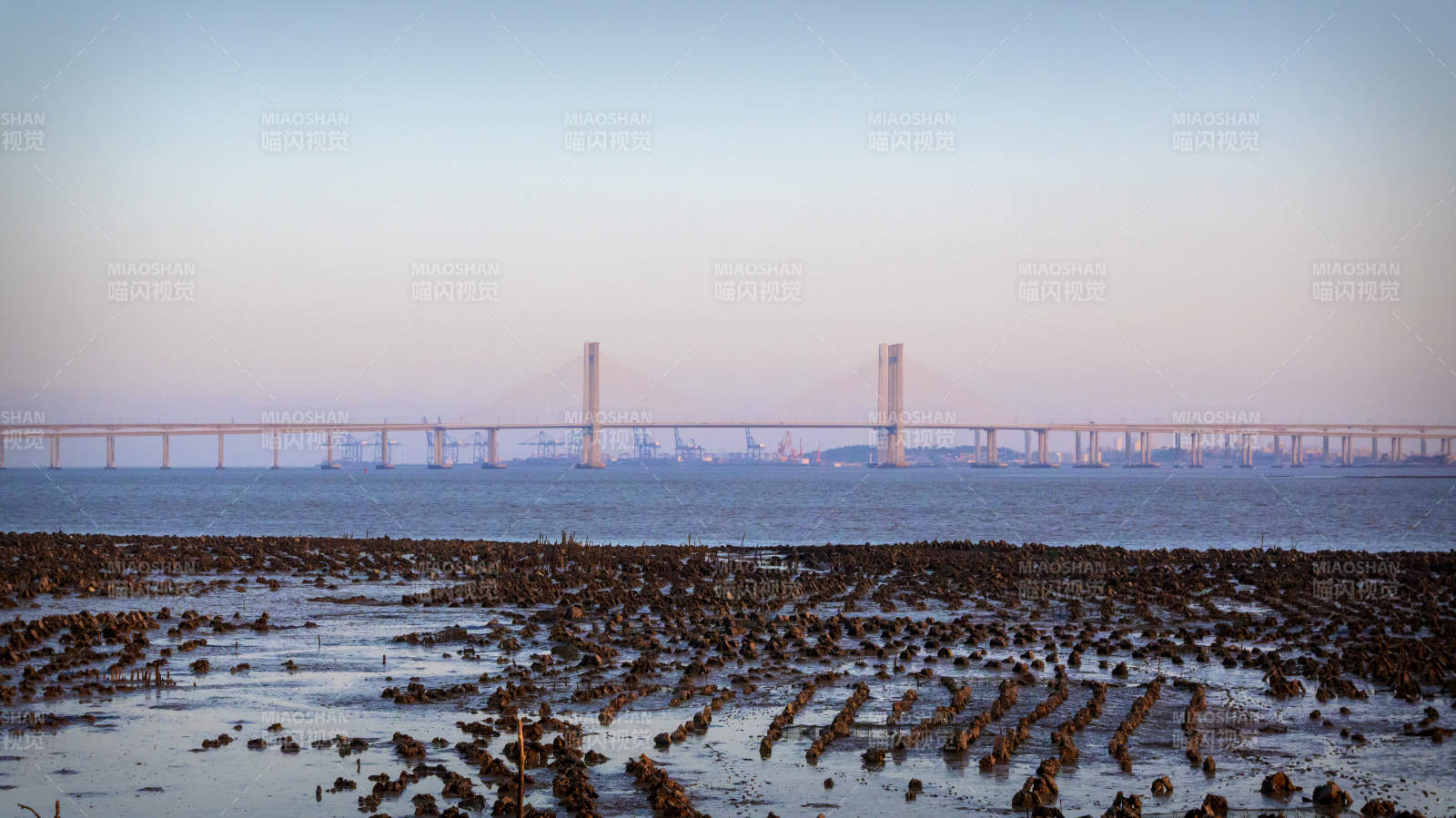 泉州跨海大桥晨曦图片