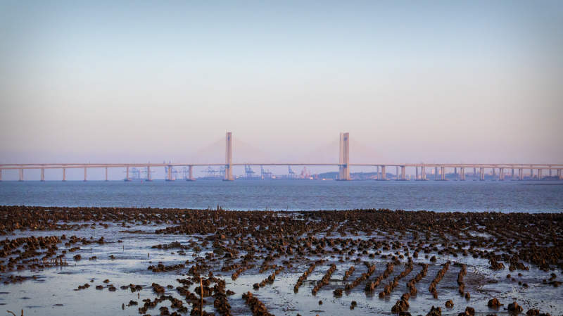 泉州跨海大桥晨曦图片