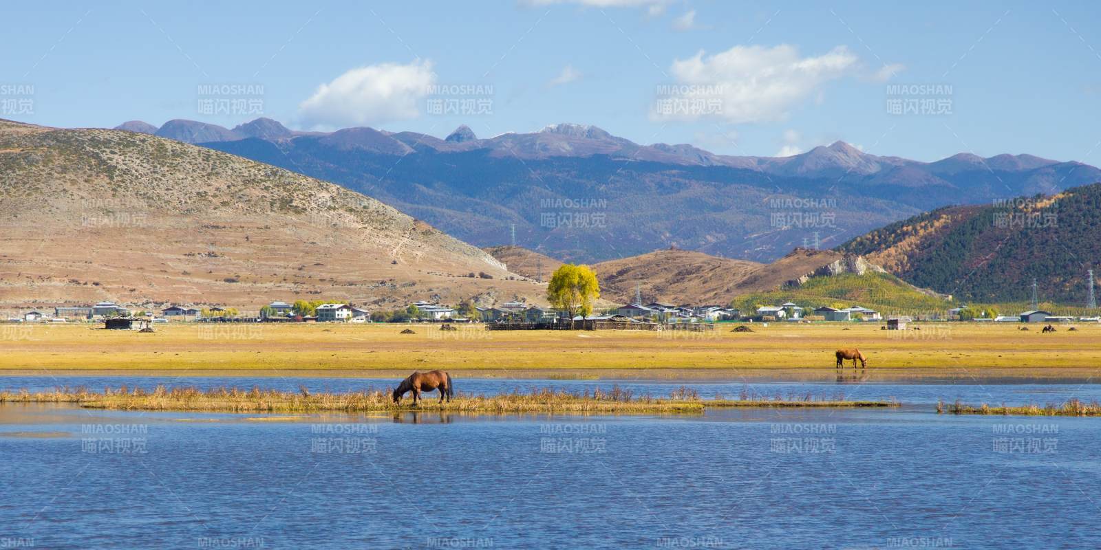 湖畔马影山峦远图片