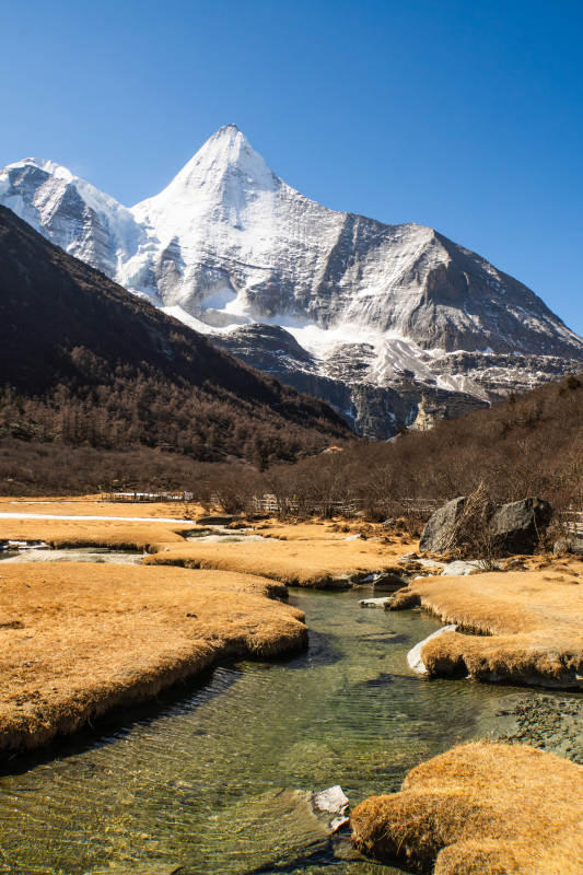 稻城亚丁雪山溪流秋景图片