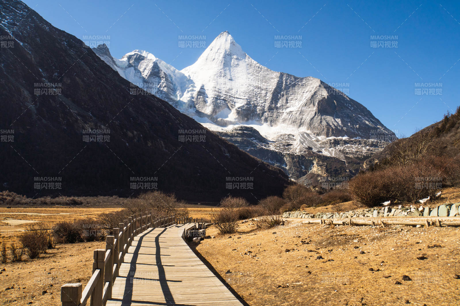 稻城亚丁雪山木栈道图片