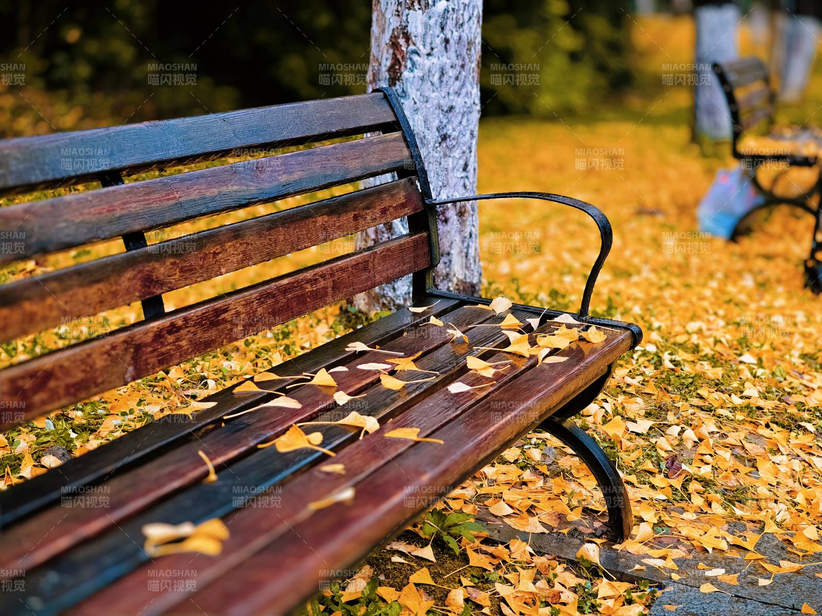 秋日公园长椅图片