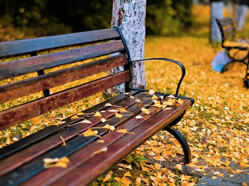 秋日公园长椅图片