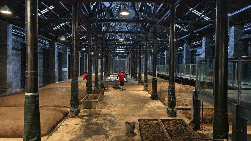 水井坊博物馆600年老酒窖图片