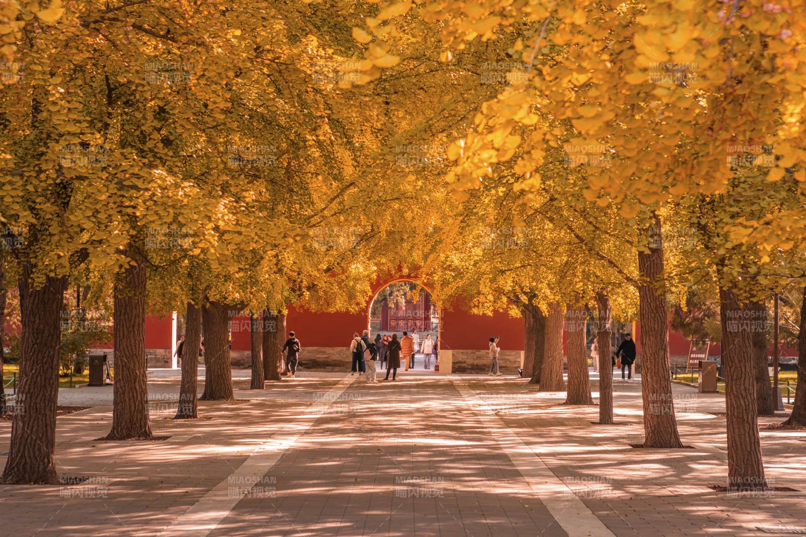 北京秋日中山公园图片