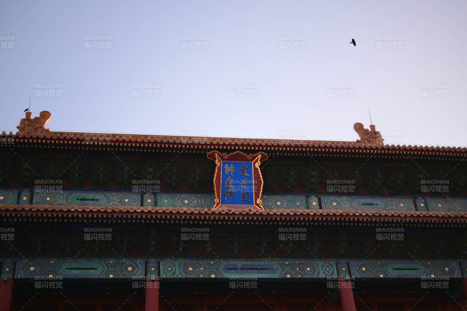 故宫殿宇飞鸟图片